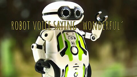 ROBOT VOICE🤖 Saying ´Wonderful´ Sound Effect-0:01 Minutes 🤖 Free Download mp3