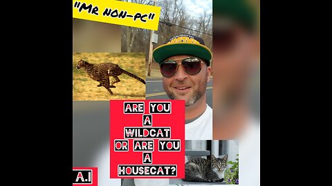 MR. NON-PC - Are You A Wildcat Or Are You A Housecat?
