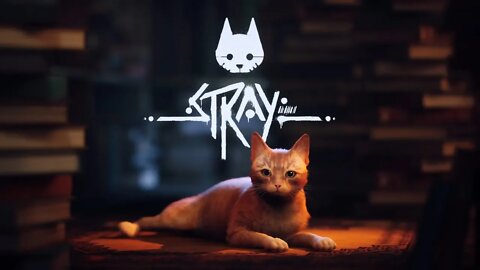 Stray - Official Launch Trailer