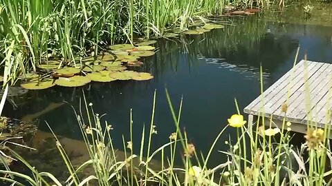 How to make a tiny beautiful 🤩❤️ swimming pool at home 🏡