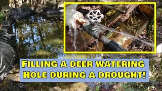 Filling deep woods watering hole during a drought! Budget! Deer land management at the farmstead!