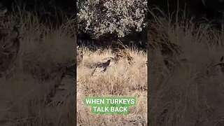When Turkeys Talk Back