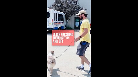 Turning Leash Pressure Off