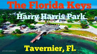 Harry Harris Park in Tavernier Florida - Cinematic #thefloridakeys