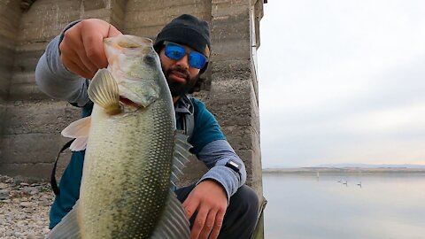 Short: Lake Lowell, Idaho - Largemouth