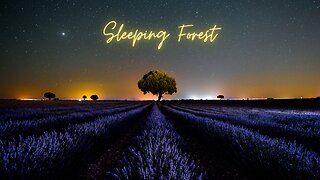 Sleeping Forest ★ Relaxing Sleep Music ★ 4K UHD