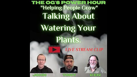 Talking About Watering Your Plants