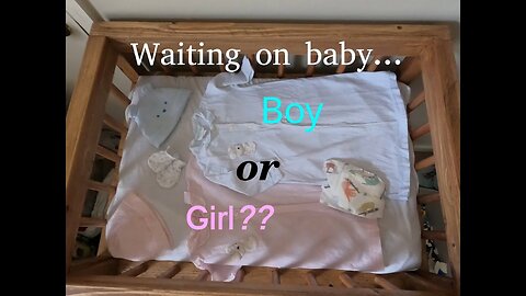 The Baby Has Arrived! Boy or Girl??