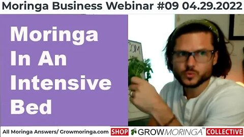 Grow Moringa In An Intensive Raised Bed for Bio-Mass