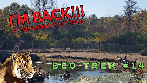 Finally Back to the Kansas City Zoo, WHAT ALL HAS CHANGED?! | BEC TREK Episode 14
