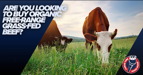 Do You Live In the Mid-West? Are You Looking for Organic Free-Range Grass-Fed Beef?