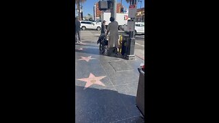 Hollywood Walk of Fame