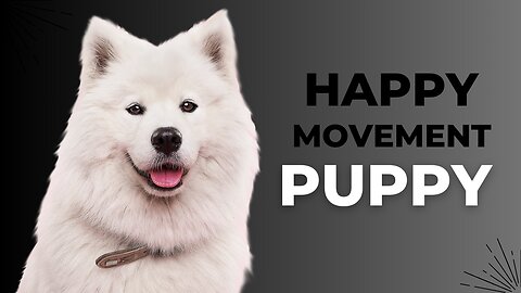 "Joyful Paws: Embracing the Happy Puppy Movement 🐾"|Happy Funniest Puppy |NatureNest Kids & Comedy