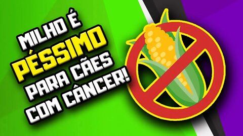 ATENÇÃO: Cachorro com Câncer NÃO PODE comer Açúcares, saiba o porquê | Dr. Edgard Gomes