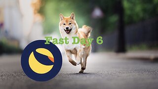 Shiba Inu, LUNC, Fast Day 6 @FaithLikeaGrainOfMustardSeed #faith #jesus #crypto #cryptocurrency