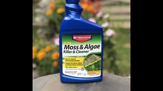 Follow-up video on results of Moss and Alge Killer use on lawn.
