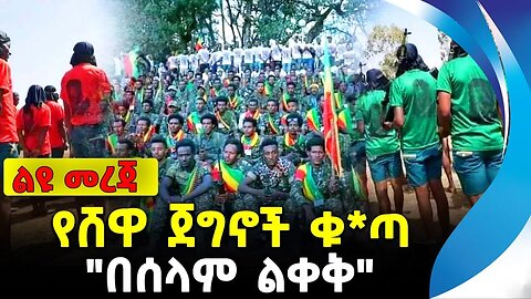 የሸዋ ጀግኖች ቁ*ጣ | "በሰላም ልቀቅ" | ethiopia | addis ababa | amhara | oromo