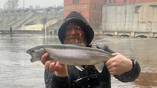 Steelhead Trout & Walleye / Float Fishing With Beads / Michigan Steelhead Fishing / Muskegon River