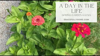 A Day in the Life on the Farm/Spring Garden Hacks