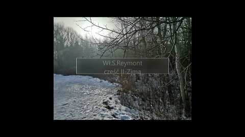 Chłopi - Wł.S.Reymont część II - Zima rozdz.13