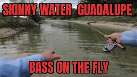 Fly fishing the Texas Hillcountry for Guadalupe Bass #fishing #bass #guadalupe #flyfishing #trout
