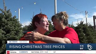Christmas tree farm worker spreads joy for generations