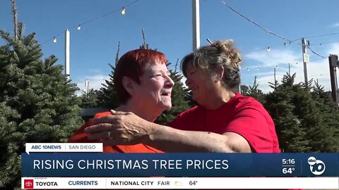 Christmas tree farm worker spreads joy for generations