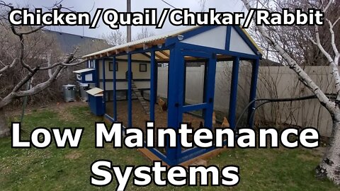 Low Maintenance Chicken, Quail, Chukar & Rabbit Systems