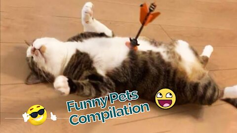 Funny And Cute Pets | Try Not To Laugh