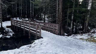CROSSING TEN BRIDGES in Mount Hood National Forest! | Mirror Lake | Tom, Dick & Harry Mountain | 4K