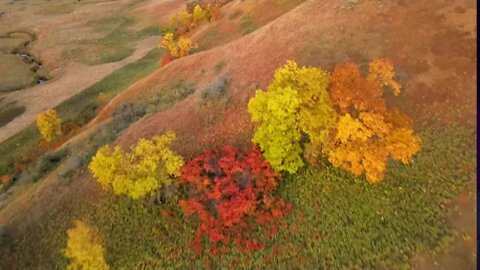 The Start of Fall Foliage