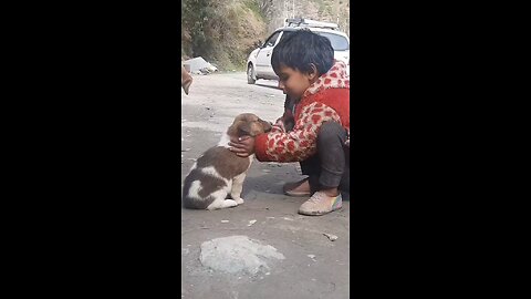 kid playing with dog🐕