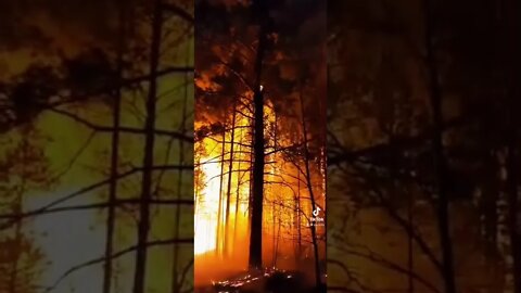 #Buryatia a major fire is blazing. The fire damaged 400 hectares of forest. #russia #ukrainewar