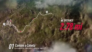 DiRT Rally 2 - Impreza Prances Through Coneta