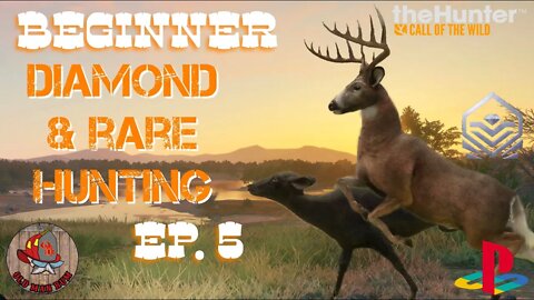 Beginner Diamond & Rare hunting Ep 5 theHunter Call of the Wild