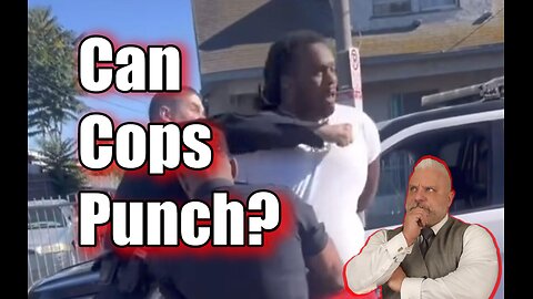 Can Cops Punch Subjects in the Face?