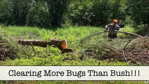 Episode 39 - Clearing More Bugs Than Trees - Part 5