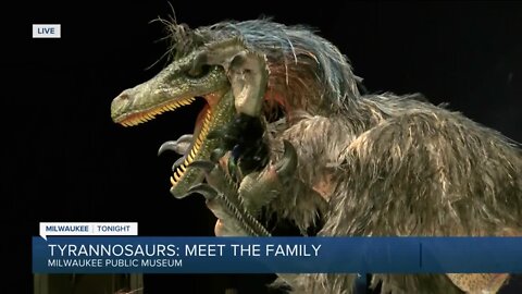 The T-Rex takes over the Milwaukee Public Museum