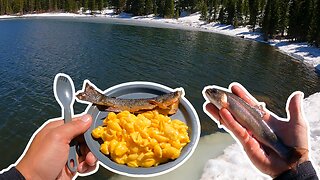 Brook Trout Fishing is Heating Up in the Colorado High Country! Catch and Cook!