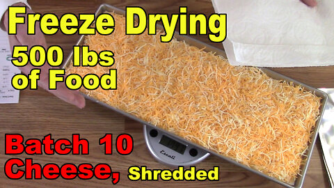 Freeze Drying Your First 500 lbs of Food - Batch 10 - Cheese, Shredded