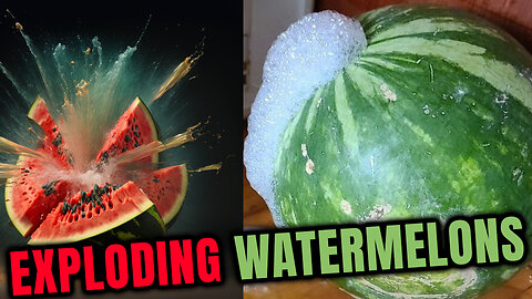 💥Watermelons everywhere are Exploding - What is going on?🍉
