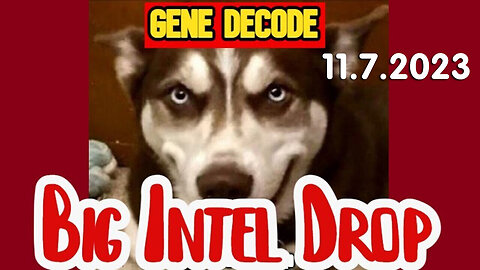 11/9/23 Gene Decode DUMBS Intel
