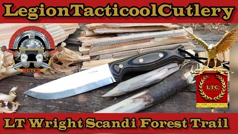 LT Wright Scandi Forest Trail Knife! CPM 3V #ltwright #edc #bushcraft #hiking #outdoors #knives