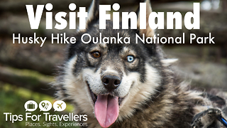 Visit Finland: Hiking with huskies in Oulanka National Park
