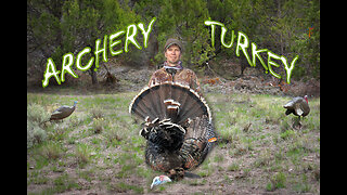 Utah Archery Turkey Bow Hunt