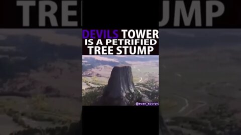 Devils tower is a giant tree stump