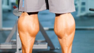 How to train your calves !