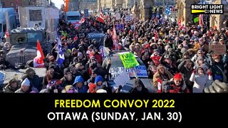 FREEDOM CONVOY 2022 - OTTAWA (SUNDAY, JAN. 30)