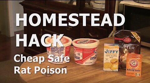 HOMESTEAD HACK - Cheap Safe Rat Poison