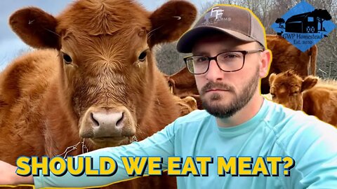 LIVESTOCK FARMER RESPONDS TO VEGAN TIKTOKER // Is it ETHICAL to eat MEAT?